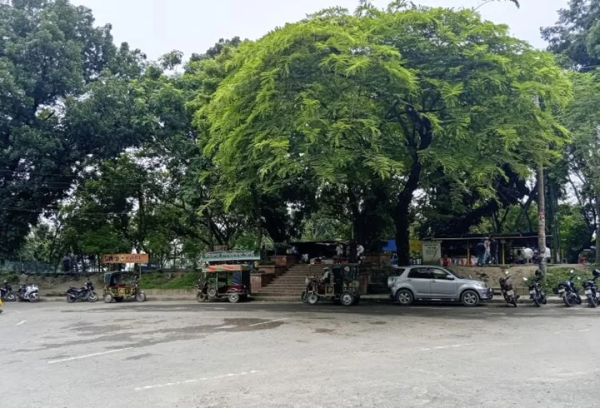 Rajshahi's Shimla Park Declared Biodiversity Conservation Area