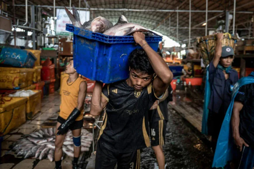 Yangon’s bustling fish markets thrive on booming trade