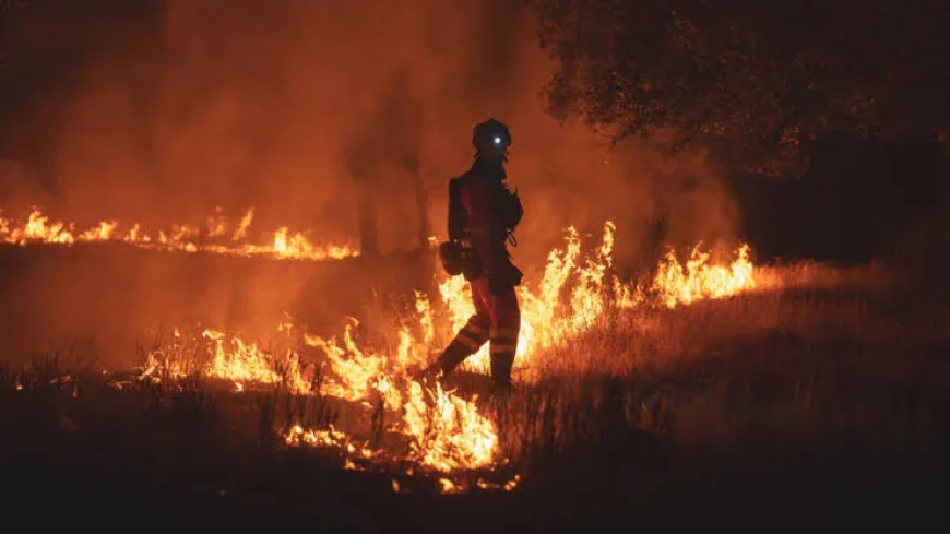 Firefighters Battle to Prevent Wildfires Merging Near Madrid