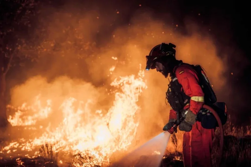 19,000 Evacuated or Confined as Madrid Wildfires Rage: Official