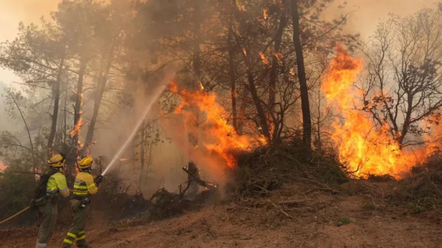 Wildfires Force Nearly 260,000 to Flee in France and Spain