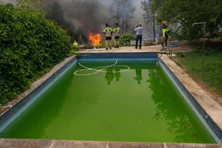 Europe Wildfires: Latest Developments