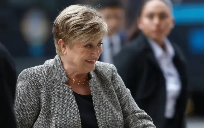 IMF Chief Praises Argentina's 'Much Sounder' Economy Under Milei