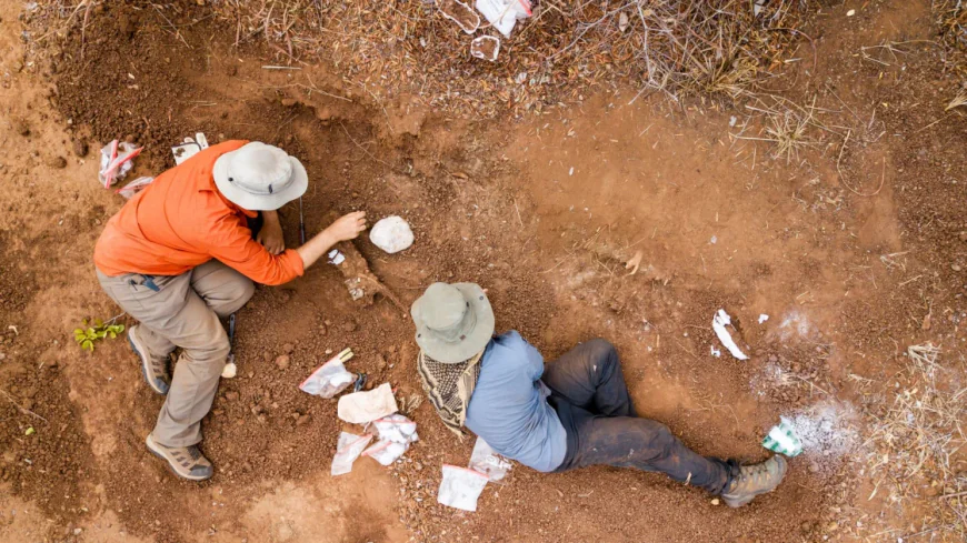 Scientists Discover 210-Million-Year-Old Dinosaur in Zimbabwe