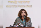 India should clarify stance on Hasina's activities: Shama