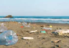 Plastic waste chokes Cox’s Bazar sea beach