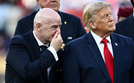 FIFA Drops Private Investment Plan After Backlash
