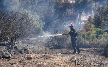 Greek Firefighters Battle to Save Coastal Resort as Strong Winds Fuel Blaze