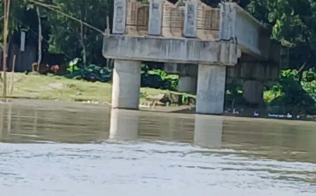 Contractors raise bills worth Tk 10 crore & disappear, bridge stuck on 3 pillars even in 6 yrs