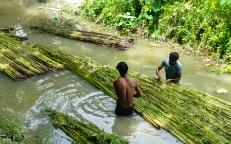 Farmers start reaping benefits of re-excavation   of the dying canal in Alfadanga