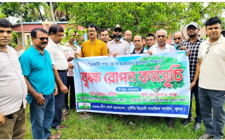 Green Force Bangladesh holds  Tree plantation program