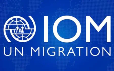 UN IOM representative calls for safe  And legal migration abroad
