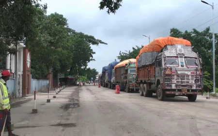 90 Metric Tonnes of Green Chillies Imported from India
