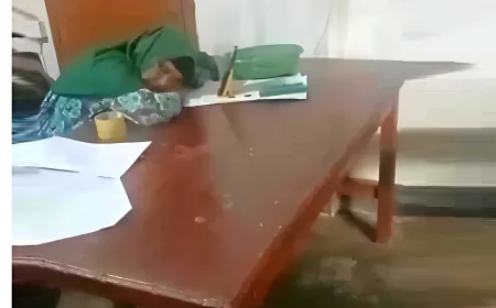 Dimla Land Office Employee Sleeping in Office  Video goes viral: show cause notice issued