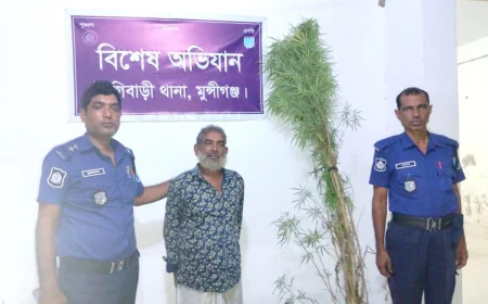 Elderly man arrested with Marijuana plant in Tongibari