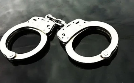 DMP arrests 418 in 24-hour anti-crime drive
