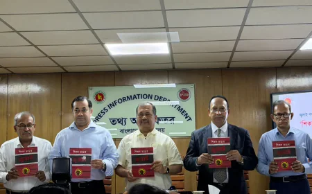 Govt Pushes for Institutional Framework to Protect Democracy: Swapon