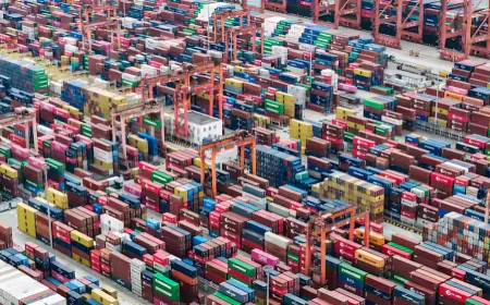 China reports strong export and import growth in July