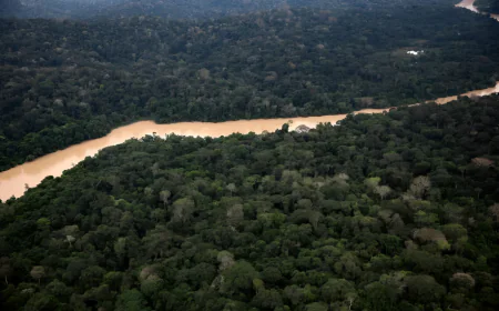 Deforestation in Brazilian Amazon Falls to Record Low