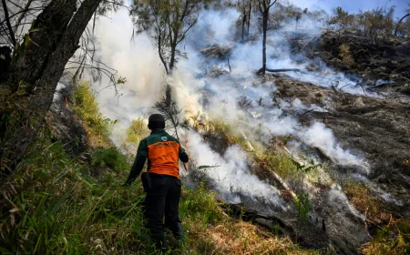 Indonesia closes national park as wildfire continues to spread