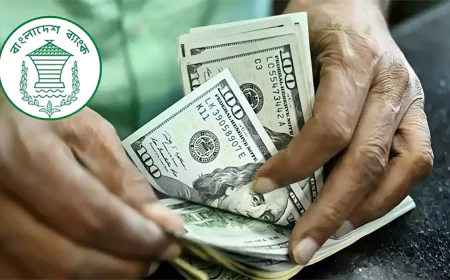 Remittance Inflow Rises 69.2% Through August 9