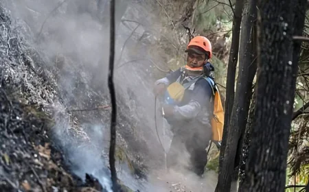 Indonesia Closes Schools as Wildfires Rage