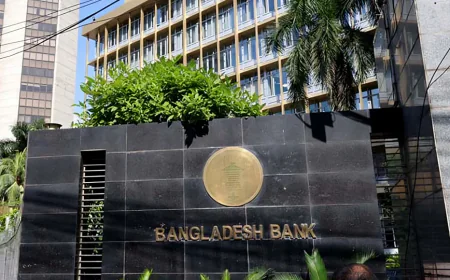 Visa Delegation Meets Bangladesh Bank Governor