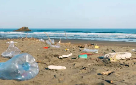 Plastic waste chokes Cox’s Bazar sea beach