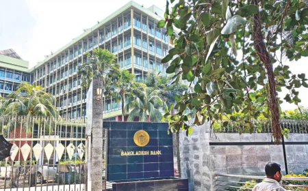 Import rules modernised with digital documentation