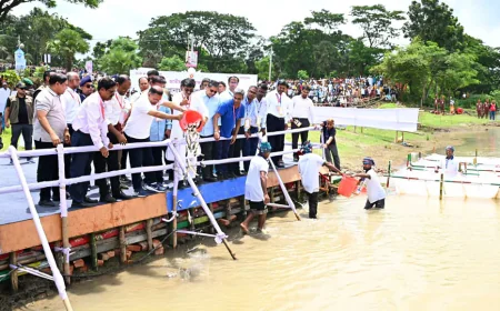 PM Releases Fish Fry Into Brahmaputra River