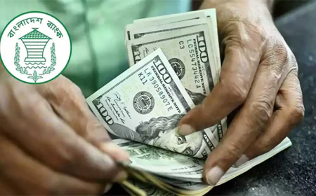 Remittance Inflow Surges 29.1% to $2.03 Billion in 19 Days of August