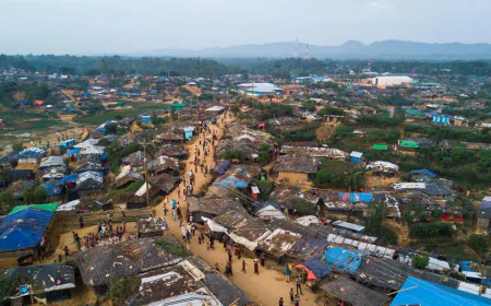 Diplomatic missions pledge to keep Rohingya issue on global agenda