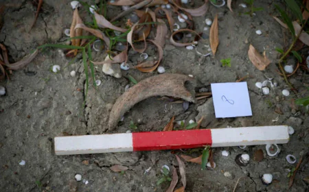 Drought-Stricken Danube Opens New Opportunities for Fossil Hunters in Bulgaria