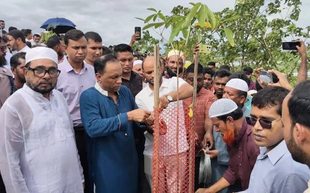 Kayser Kamal orders arrest of ‘tree killers’ within 48 hours