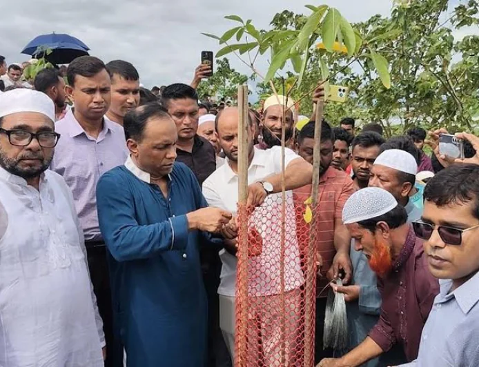 Kayser Kamal orders arrest of ‘tree killers’ within 48 hours