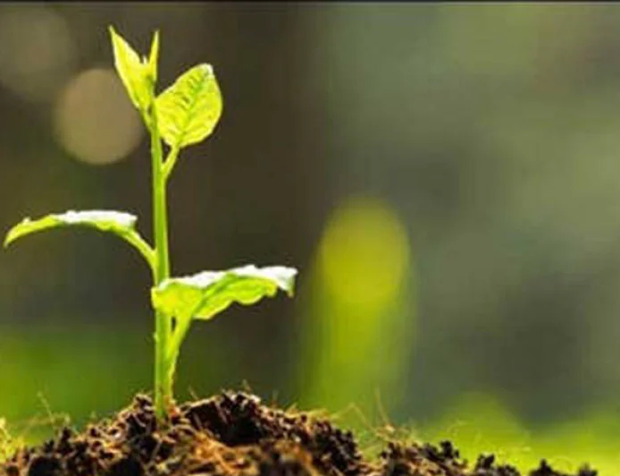 Saplings distributed among students in Madan