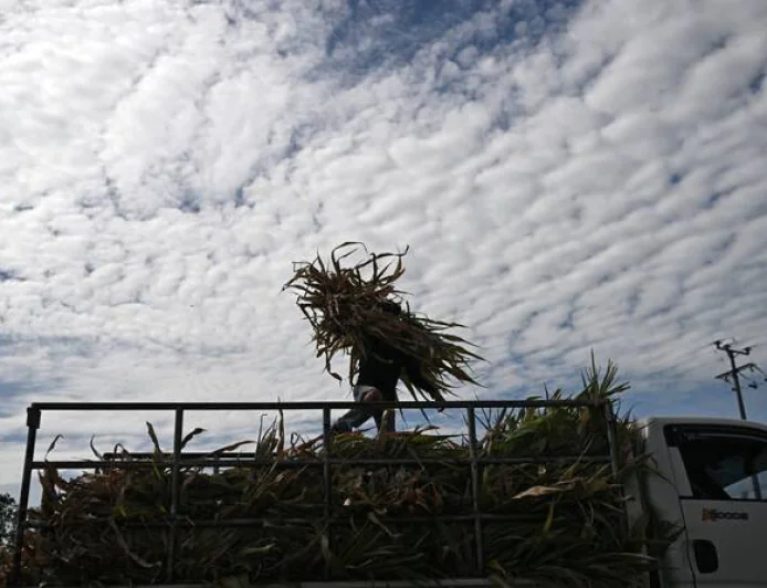 Ecuador declares emergency over El Nino