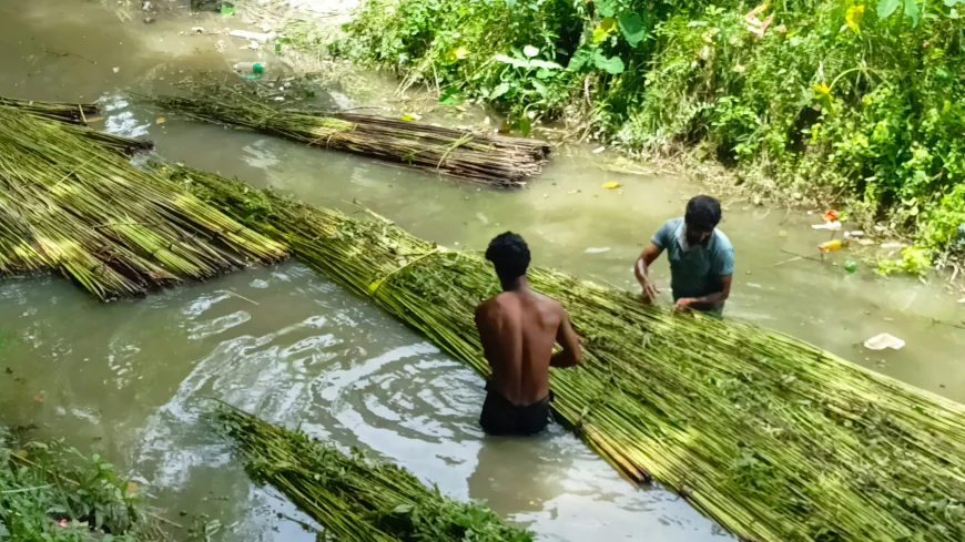 Farmers start reaping benefits of re-excavation   of the dying canal in Alfadanga