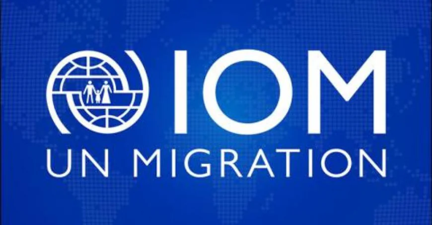 UN IOM representative calls for safe  And legal migration abroad