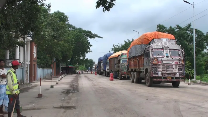 90 Metric Tonnes of Green Chillies Imported from India
