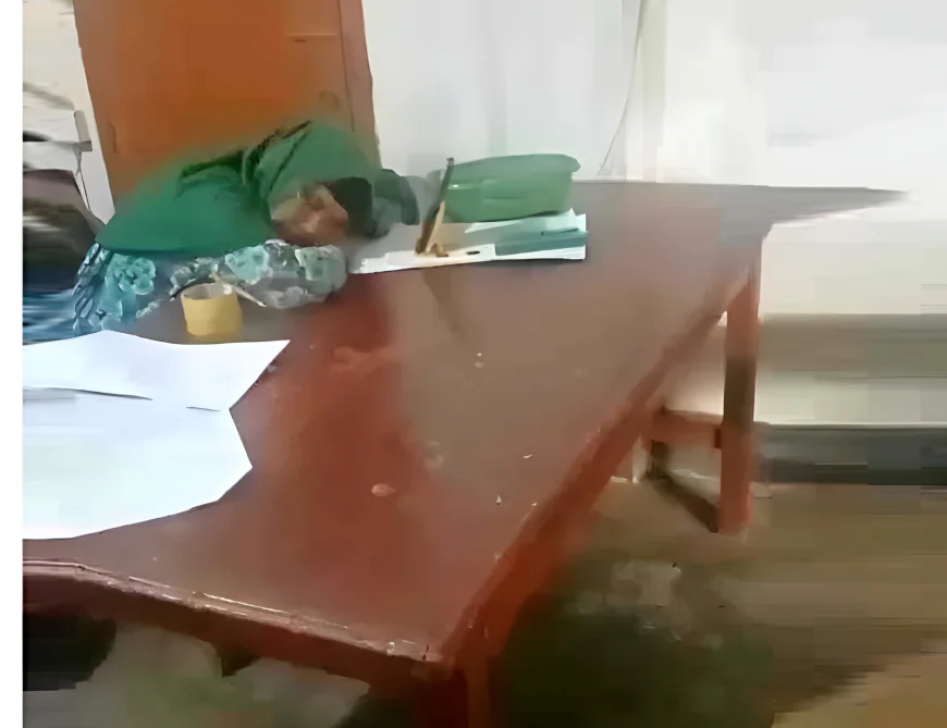 Dimla Land Office Employee Sleeping in Office  Video goes viral: show cause notice issued
