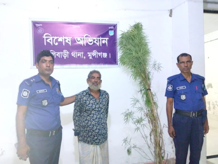 Elderly man arrested with Marijuana plant in Tongibari