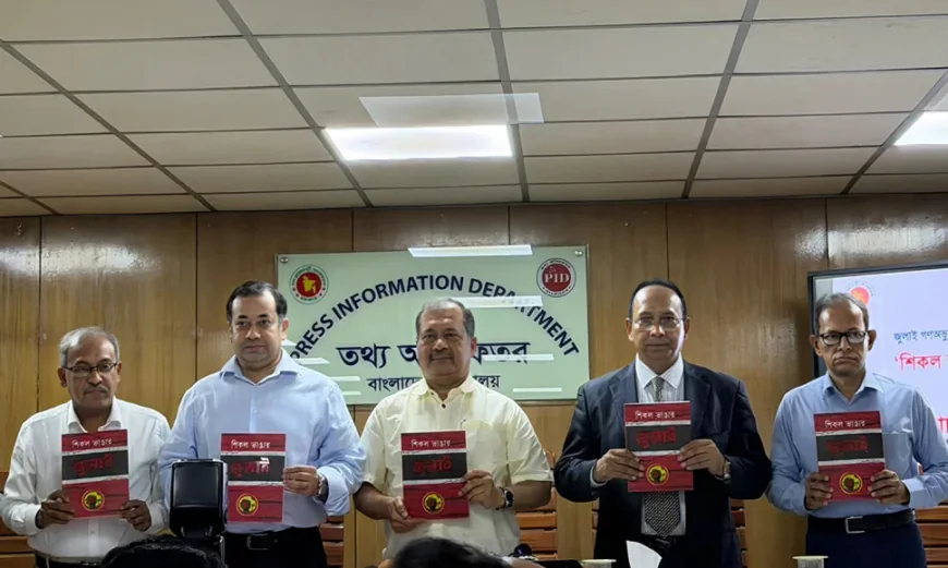 Govt Pushes for Institutional Framework to Protect Democracy: Swapon