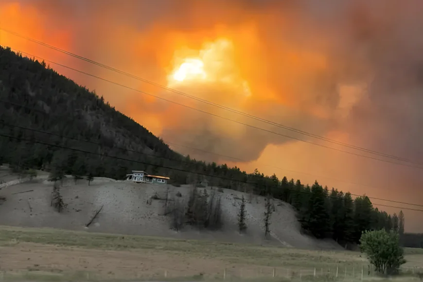 Climate Change Doubled Likelihood of Canadian Wildfires: Study