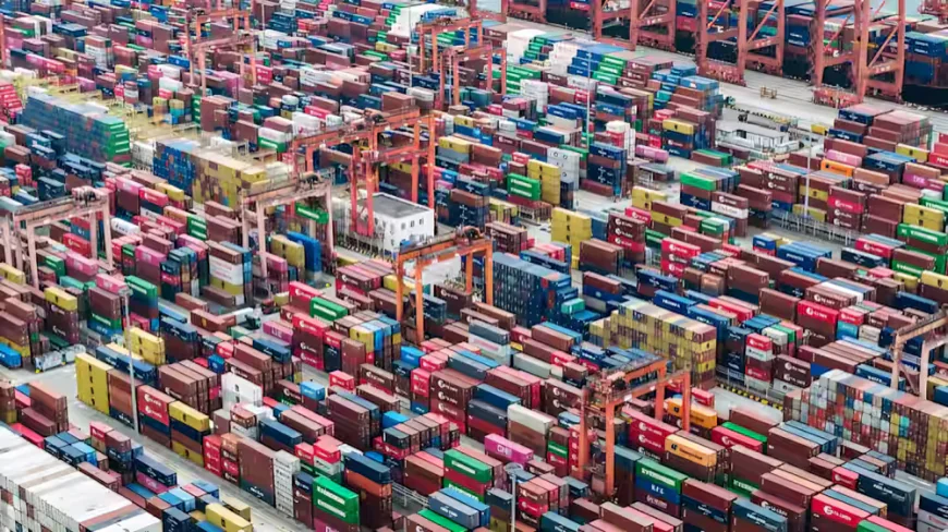 China reports strong export and import growth in July