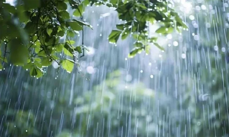Rain Expected in Parts of the Country