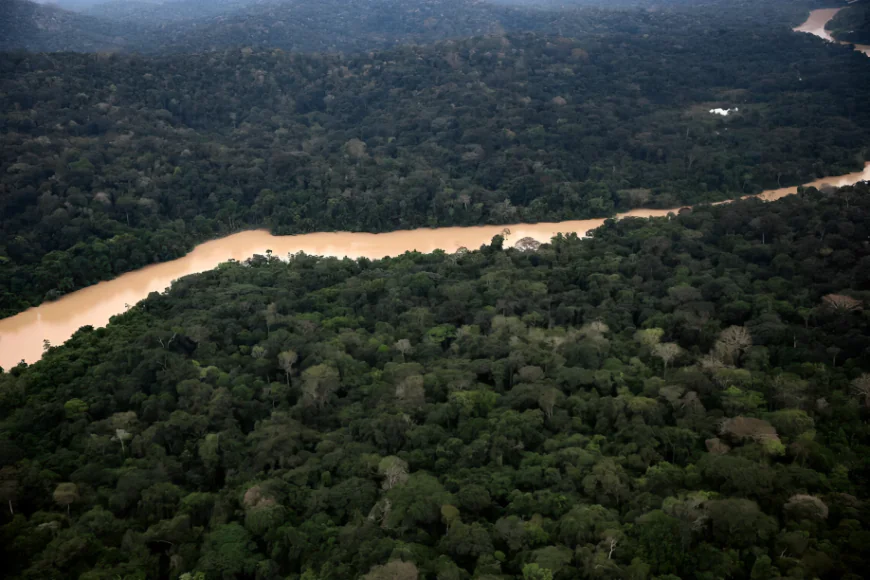 Deforestation in Brazilian Amazon Falls to Record Low