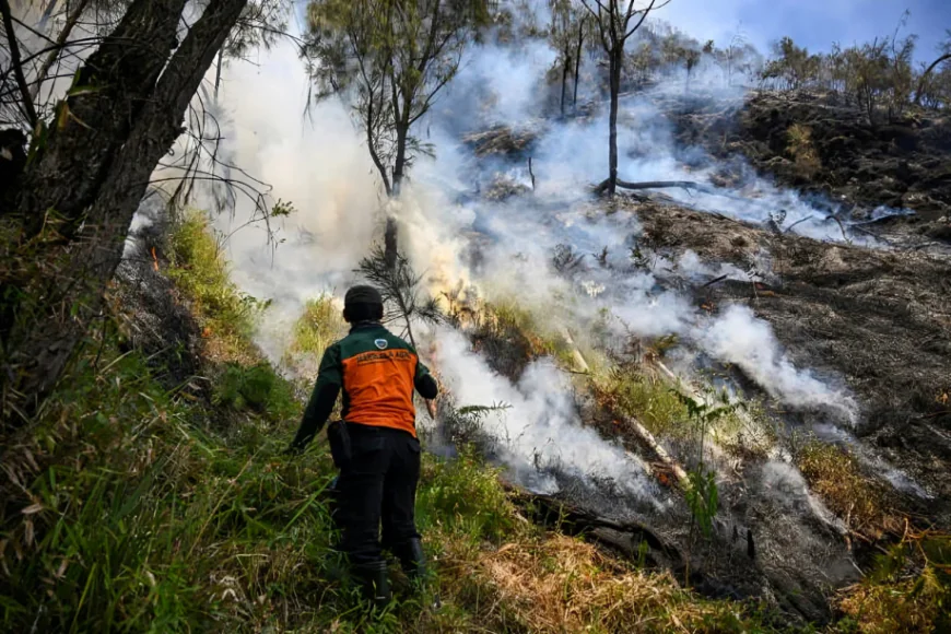 Indonesia closes national park as wildfire continues to spread