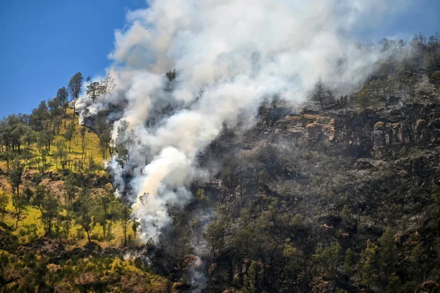 Wildfires Rage for Eighth Day in Indonesian National Park
