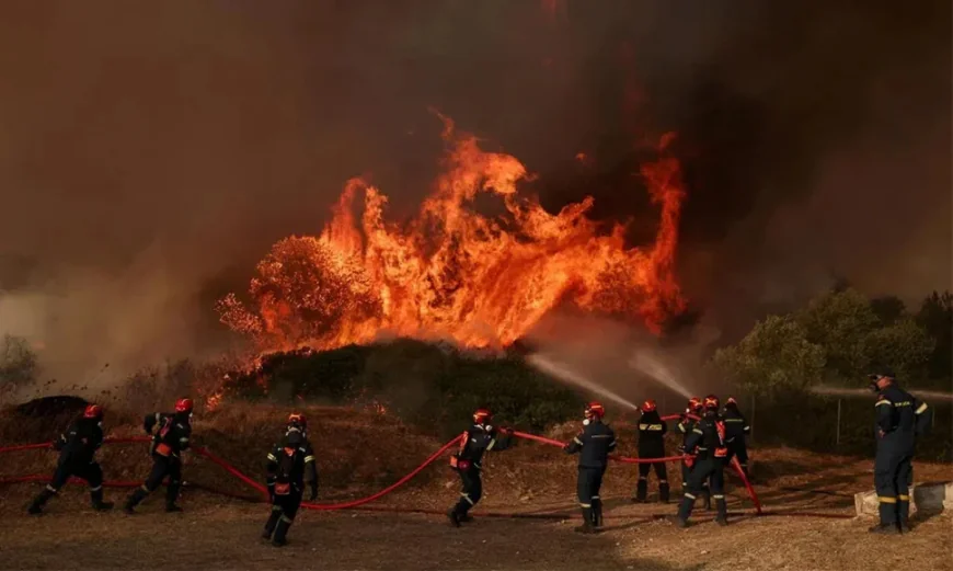 Greece Battles New Wildfire Near Athens as Strong Winds Fuel Blaze